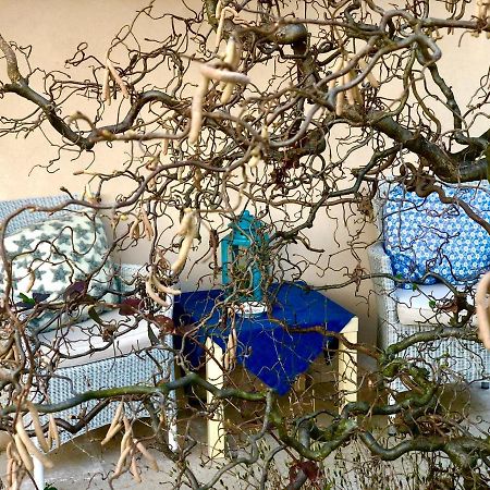 Boccadibacco Bed & Breakfast San Pietro in Cariano Eksteriør bilde